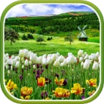 Logo of Spring Nature Live Wallpaper android Application 